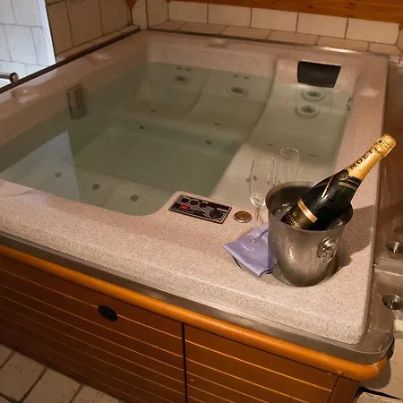Hotel Vacek Pod Vezi 4*