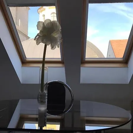 Vacek Pod Vezi 4*