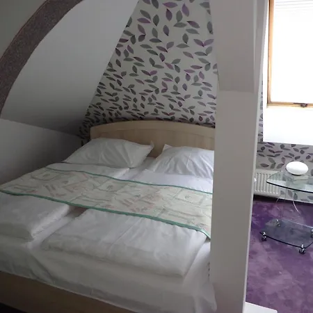 Vacek Pod Vezi Hradec Králové