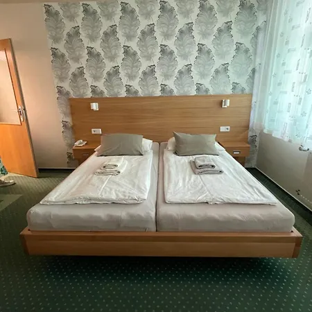 ホテル Vacek Pod Vezi Hradec Králové