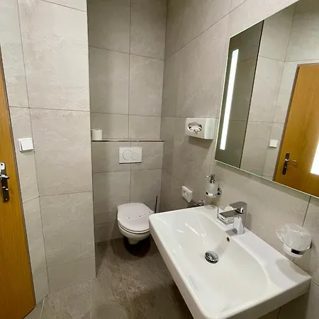 ホテル Vacek Pod Vezi 4*