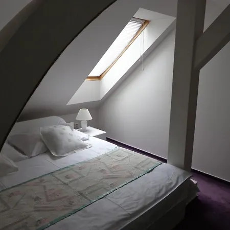 Vacek Pod Vezi Hotel Hradec Kralove
