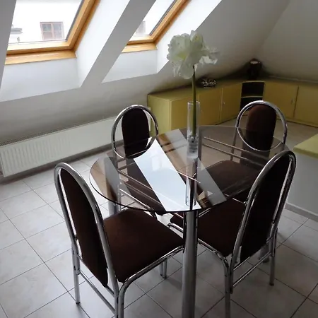 Vacek Pod Vezi Hradec Kralove