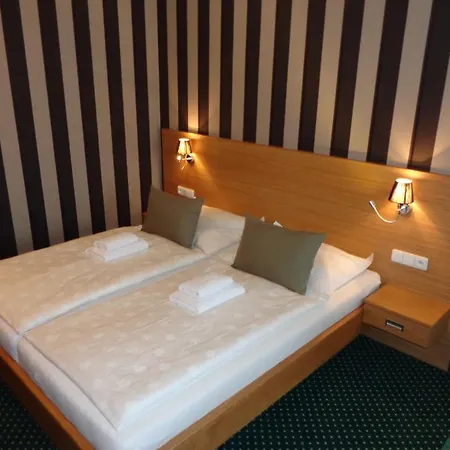 Hotel Vacek Pod Vezi