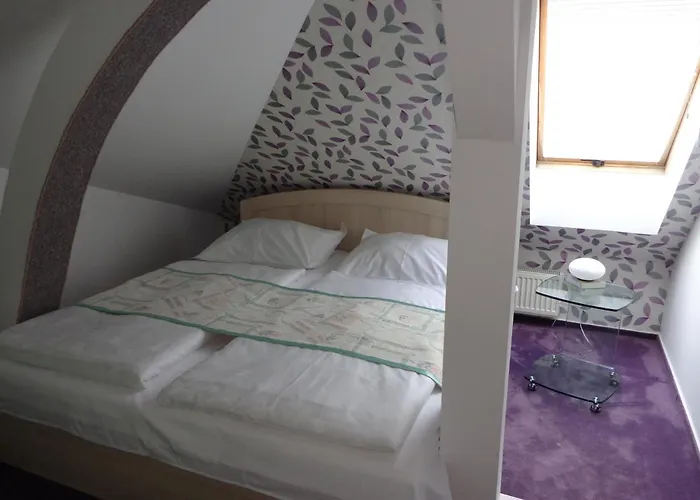 Vacek Pod Věží Hradec Králové