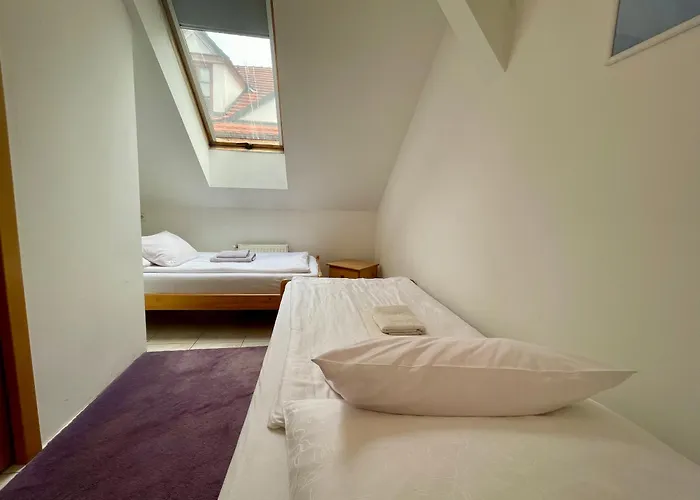 Otel Vacek Pod Věží Hradec Králové