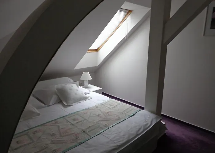 Vacek Pod Věží Otel Hradec Králové